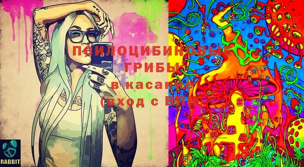 молекула духа Белоозёрский