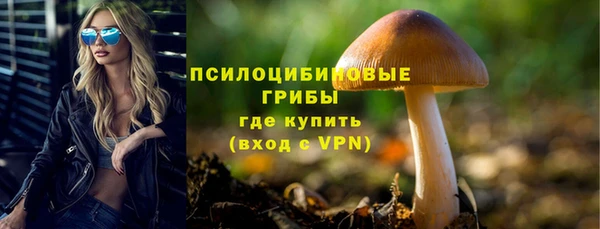 стаф Белокуриха