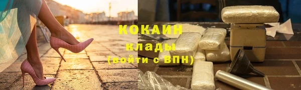 стаф Белокуриха