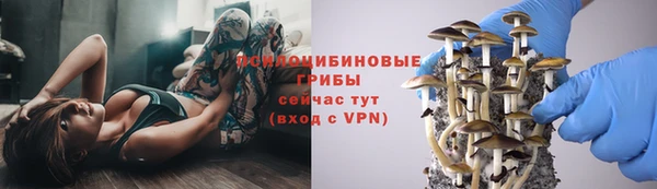 молекула духа Белоозёрский