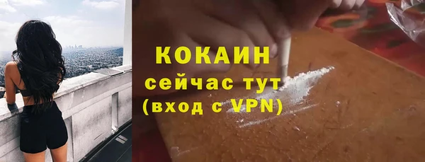 молекула духа Белоозёрский