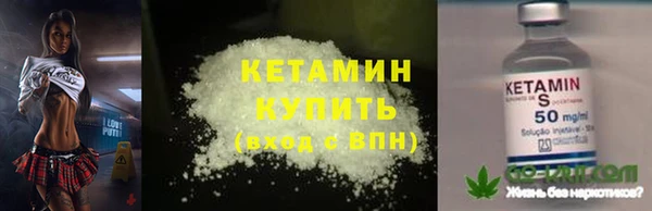 прущие грибы Беломорск