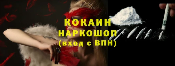 прущие грибы Беломорск