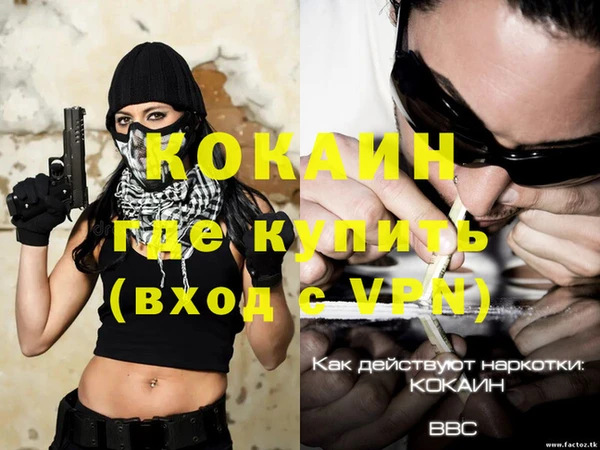 стаф Белокуриха