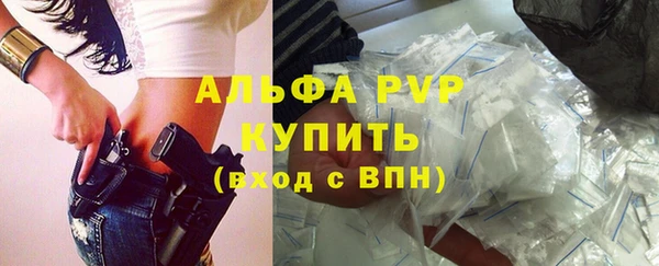 прущие грибы Беломорск
