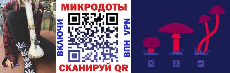 Псилоцибиновые грибы Psilocybe Обь